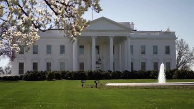 İlkbaharda kiraz çiçekleri Beyaz Saray 'ı çerçevelerken, fıskiye Washington DC' deki iyi bakımlı çimlere ferahlatıcı bir dokunuş ekleyerek huzur dolu atmosferi artırıyor..