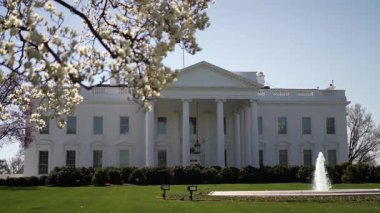 Beyaz Saray, Washington DC 'de berrak bir gökyüzünün altında çiçek açarak federal hükümetin ilkbaharın güzelliğini gözler önüne seriyor..