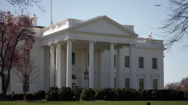 Beyaz Saray, çiçek açan bahar ağaçları ve yeşil çalılarla çevrili berrak bir gökyüzüne karşı zarif bir şekilde duruyor. Bir uçak yukarıda uçarken görülebilir..