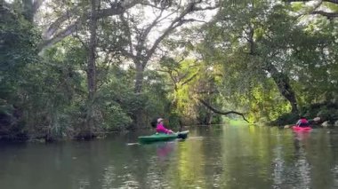 Olgun bir kadın Nikaragua 'daki Granada Gölü' nde kano deneyimi yaşıyor. Etrafı gür ağaçlarla çevrili, sakin suları keşfederken gülümsüyor..
