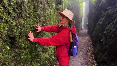 Olgun bir kadın, Granada, Nikaragua 'daki Mombacho Volkanı' nda, tropikal yapraklar ve sisli havayla çevrili bir şekilde yürüyüş yaparken canlı ormanın tadını çıkarır..