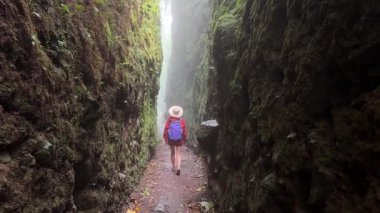 Olgun bir kadın, Granada, Nikaragua 'daki yemyeşil tropik ormanlarla çevrili Mombacho Volkanı' ndaki sisli, yemyeşil bir kanyonda yürüyüş yapar..