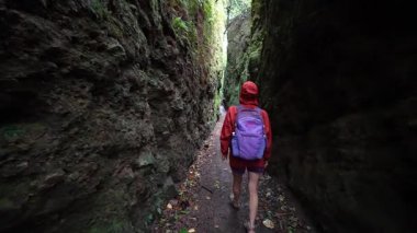 Olgun bir kadın, Nikaragua, Granada 'da canlı orman yeşiliyle çevrili Mombacho Volkanı' nda yosun kaplı dar bir patikada yürüyor..