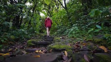 Olgun bir kadın, Mombacho Volkanı 'nda tropikal ormanlarla çevrili yosun kaplı patika boyunca yürüyüş yapar ve Nikaragua' nın doğal güzelliğinin tadını çıkarır..
