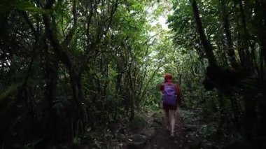 Olgun bir kadın Mombacho Volkanı 'nda yoğun tropikal yapraklarla çevrili patika boyunca yürür. Canlı yeşiller gezginler için huzurlu bir atmosfer yaratıyor..
