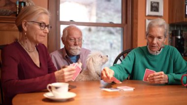 Kart oynamak için sıcak bir odada toplanan bir aile, yaşlı ebeveynler ve ilgili köpekleri arasında beraberlik sergiliyor. Kahkaha ve sohbet havayı doldurur..