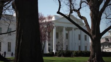 Ziyaretçiler, Washington DC 'de güneşli bir bahar gününün tadını çıkararak Beyaz Saray' da dolaşıyorlar. Ağaçlar, ikonik mimarisini gözler önüne sererek tarihi binayı çerçeveler..