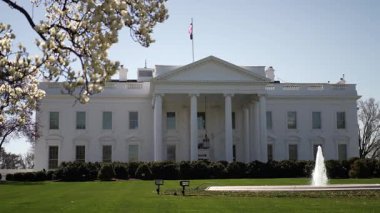 Beyaz Saray, ilkbaharda Washington DC 'de çiçek açan ağaçlar ve parıldayan fıskiyelerle çevrili, federal hükümeti simgeleyen görkemli bir şekilde duruyor..