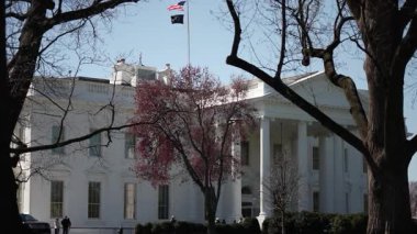 Beyaz Saray, Washington DC 'de çiçek açan ağaçlarla çevrili duruyor. Sahne mevsimlerin geçişini yakalıyor, ilkbaharın gelişini yansıtıyor..