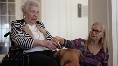 Tekerlekli sandalyedeki yaşlı bir kadın, kızı dost canlısı köpekleriyle konuşurken gülümsüyor. Neşe dolu ziyaret samimi bir iç mekanda gerçekleşiyor..