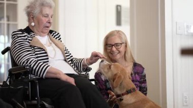 Tekerlekli sandalyede oturan yaşlı bir kadın gülen kızıyla ve cana yakın bir köpekle etkileşime girer. İçeride samimi bir aile anının tadını çıkarıyorlar..