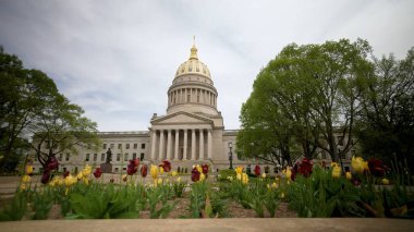 Charleston 'da Batı Virginia Eyalet Meclisi önünde renkli laleler çiçek açıyor. Güneşli bir günde etkileyici bir mimari ve yemyeşil sergileniyor..