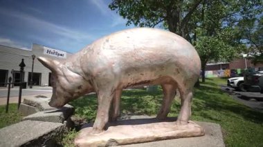 Cadiz, KY, ABD - 04 26 2025: Cadiz, Kentucky şehir merkezinde güneşli bir günde yerel dükkanlar ve yeşilliklerle çevrili önemli bir domuz heykeli bulunmaktadır. Sanat eserleri kasabanın cazibesini ve mirasını simgeliyor..