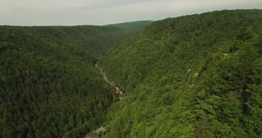 Blackwater Şelaleleri 'nin nefes kesici hava perspektifi Davis, Batı Virginia' daki alanı saran çarpıcı şelaleler ve yemyeşil alanları gözler önüne seriyor..