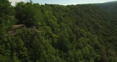 Blackwater Şelaleleri 'nin nefes kesici hava perspektifi Davis, Batı Virginia' daki alanı saran çarpıcı şelaleler ve yemyeşil alanları gözler önüne seriyor..