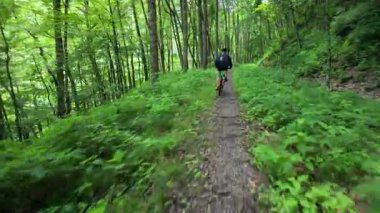 Olgun bir kadın dağ bisikletini batı Virginia 'daki Blackwater Kanyonu' nda yemyeşil yemyeşil bir arazide orman yolunda sürüyor..