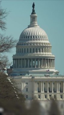 Açık bir günde dikey bir video, bayraklar caddeyi sarmış, Washington 'daki Amerikan Kongre Binası' na doğru canlı bir görüntü sağlıyor, şehirlerin ikonik mimarisini gösteriyor..