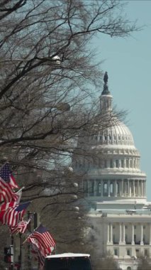 Amerikan bayraklarının dikey videosu caddeyi süslerken, ABD Kongre Binası arka planda öğleden sonra Washington DC 'de açık mavi bir gökyüzünün altında belirgin bir şekilde duruyor..
