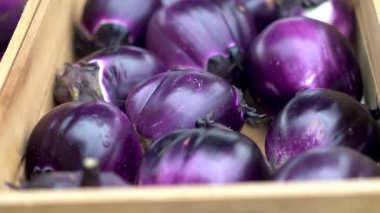 Güzel mor İtalyan patlıcanlarına yaklaş..