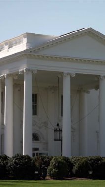 Beyaz Saray 'ın dikey videosu, çiçek açan bahar ağaçları ve yeşil çalılarla çevrili berrak bir gökyüzüne karşı zarifçe duruyor. Bir uçak yukarıda uçarken görülebilir..