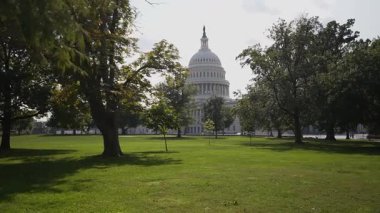 Güneşli bir yaz gününde Washington DC 'deki ağaçların ve yeşil çimlerin arasından ABD Capitol manzarası.