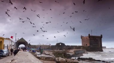 Fırtınalı bir günde Essaouira, Fas 'a giriş ve limanın geniş açılı görüntüsü.