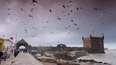 Fırtınalı bir günde Essaouira, Fas 'a giriş ve limanın geniş açılı görüntüsü.