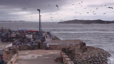 Geniş açı görüntüsü Essaouira, Fas 'taki liman ve Atlantik Okyanusu' na doğru yükseliyor..