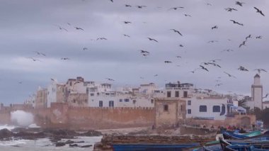 Essaouira, Fas 'ta rüzgarda süzülen martılarla dolu bir gökyüzü..