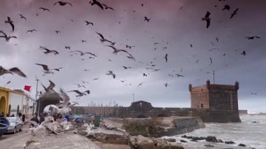 Fırtınalı bir günde Essaouira, Fas 'a giriş ve limanın geniş açılı görüntüsü.