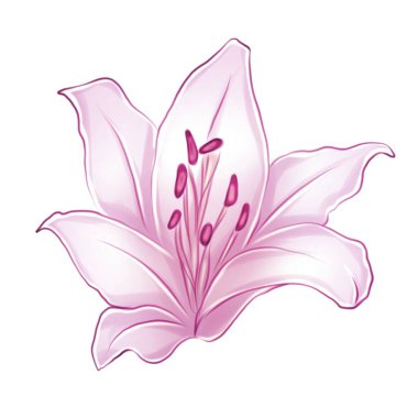 Zarif taç yapraklarını çeşitli renklerde sergileyen zambakların bir çizimi. Genellikle karmaşık detaylar ve hassas gölgelerle..