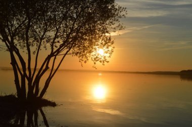Sakin bir gölün üzerinde, ılık turuncu ve altın tonlarla yıkanmış yaz günbatımının sakin bir sahnesi. Soldaki bir ağaç dalının silueti, yansıtıcı su güneşin parıltısını yansıtırken sakin atmosfere derinlik katar. Kusursuz bir tasvir.