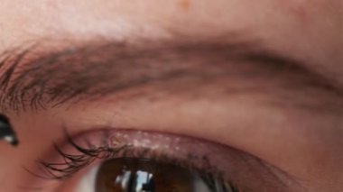 Kadın gözü makrosu. Kaş makyajı yakın plan. Macro planı. Kaşlara jöle. Fırça. Mükemmel bir doku. Saçlar. Kahverengi geniş kaşlar. Düz kaş şekli..
