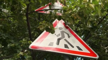 Yolda yaya geçidi var. Yaprakların arasında trafik işareti var. Terk edilmiş yaya geçidi tabelası