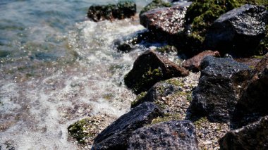 Sahilde su damlaları var. Deniz. Su sıçrıyor. Kıyıya. Dalgalar. Deniz köpüğü. Denizin ortasında taş var. Kum. Deniz yosunu. Yaz tatili. Deniz kıyısında bir tatil köyü. Dalgalar. Deniz yosunlu taşlar.