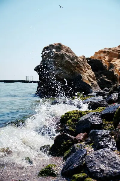 Taşları ve taşları olan deniz kıyıları. Taş gibi. Deniz. Taş dokusu. Kaya dokusu. Deniz Burnu. Güneşli bir hava. Deniz kayası. Denizin ortasındaki taş. Vahşi yaşam. Deniz doğası