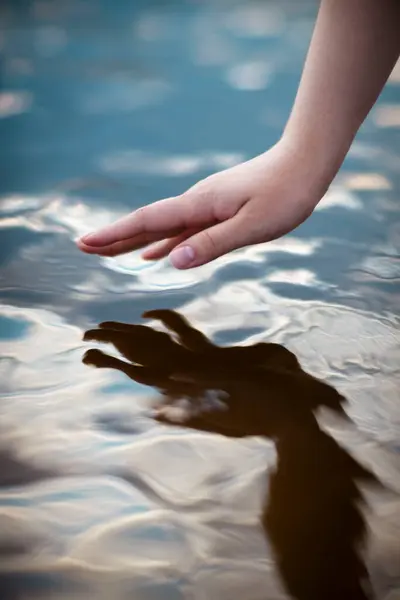 Avucunun içinde elini tutan bir kadın. Doğa ve çevre kavramı.
