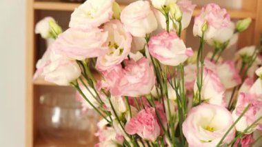 Cam vazo içinde Pembe Laleler