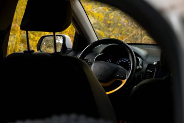 Arabanın içi. Arabanın içi. sonbahar seyahati. 