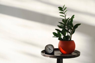 kırmızı duvarlı beyaz masaya saksı koy..