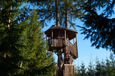 Parkta tahta salıncak