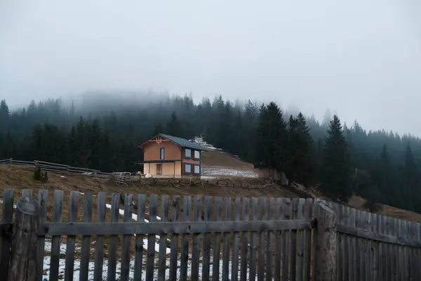 Doğanın güzel manzarası