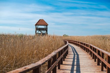Gölün üzerindeki tahta köprü.