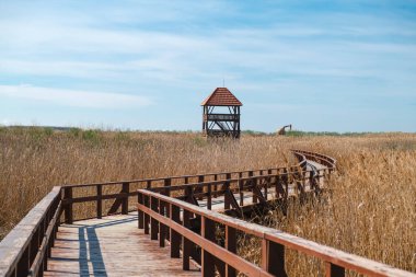 Sahildeki ahşap çit