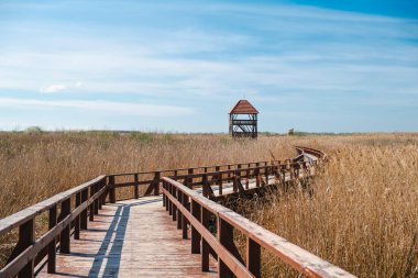 Mavi gökyüzünün arka planındaki ahşap köprü