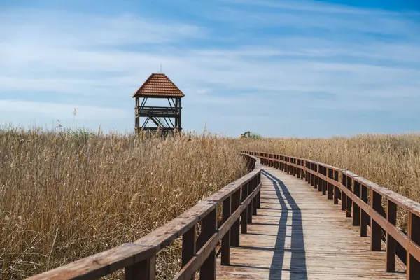 Gölün üzerindeki tahta köprü.