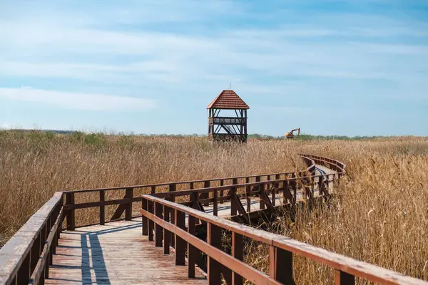 Sahildeki ahşap çit