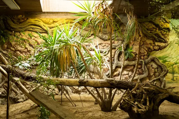 Parktaki tropik bahçe