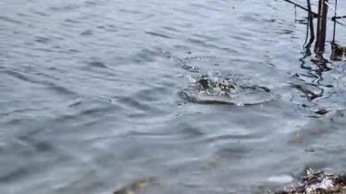 Doğanın güzel manzarası