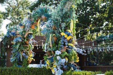 Bahçedeki güzel çiçekler